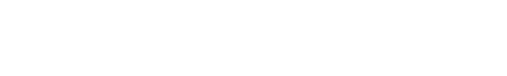 INTELION logo